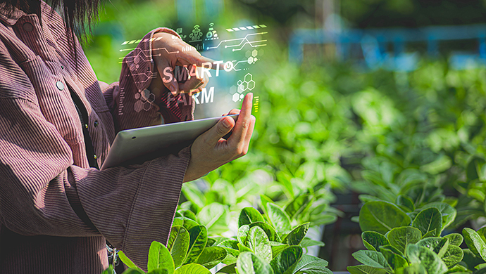The Rise of AgriTech & Food Security Startups in the UAE