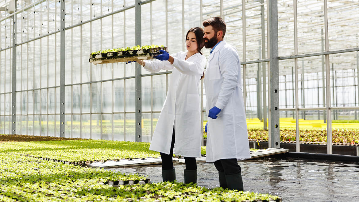 AgriTech & Food Innovation: Future Opportunities for UAE Entrepreneurs